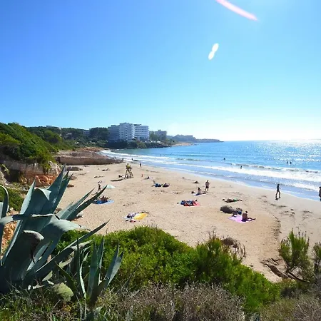 Wvp - Mariposa Salou